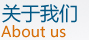 公司簡介